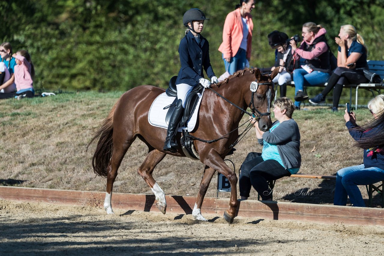 Bild 40 - Pony Akademie Turnier